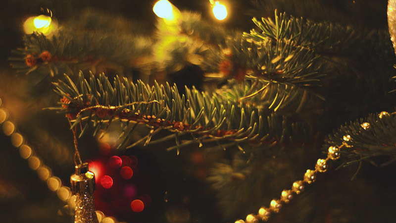 Close-up photo of a beautiful Christmas tree placed in a themed escape room. There are golden decorations and candles on the tree.